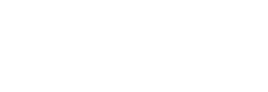 ScreenSkills logo
