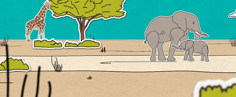 Chester Zoo - Illegal wildlife trade