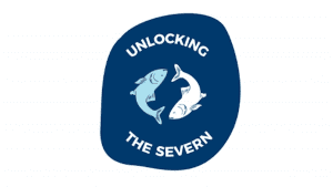 Unlocking the Severn