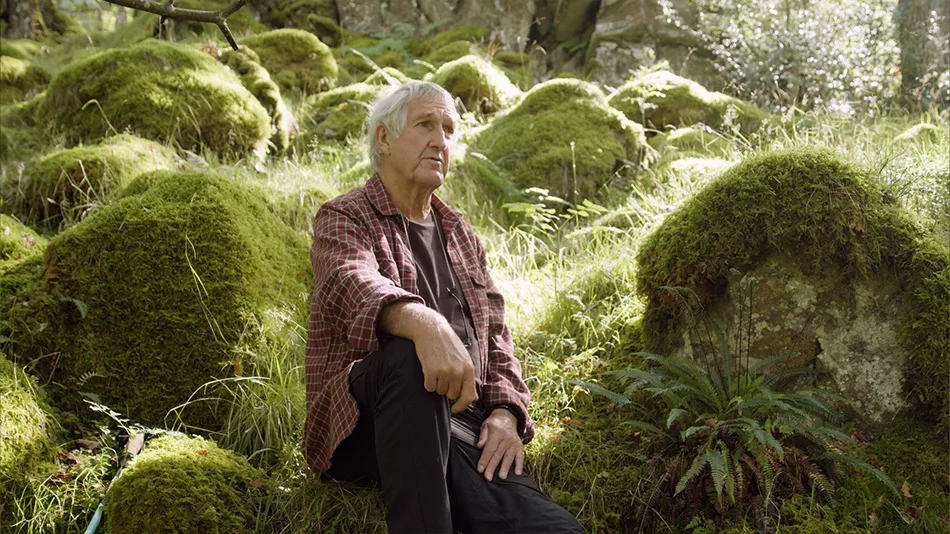 An interview with woodland specialist Maurice Pankhurst